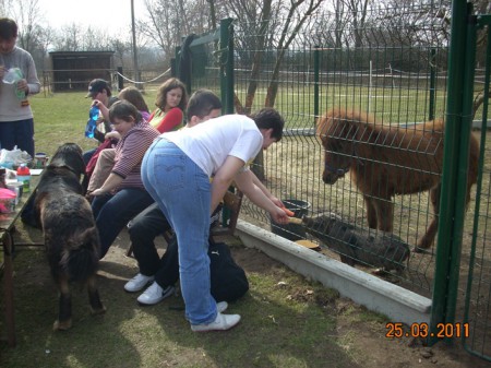 25.3.2011 Stacionář